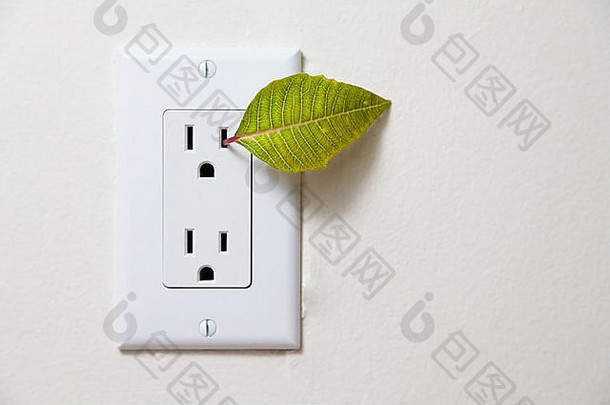 从墙上的插座里发出的电使树叶发光