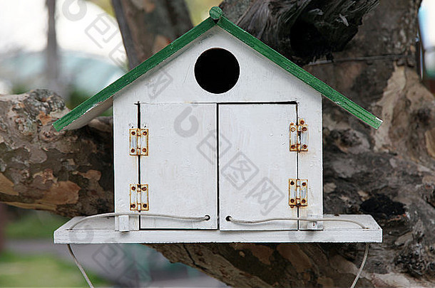 这是一张鸟的小屋的照片。附在室外或室外树枝上的鸟箱或鸟屋