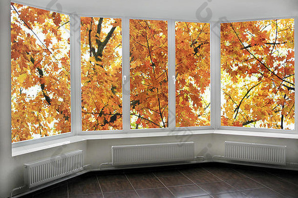 大全景窗户视图用橡木制的autumnale森林