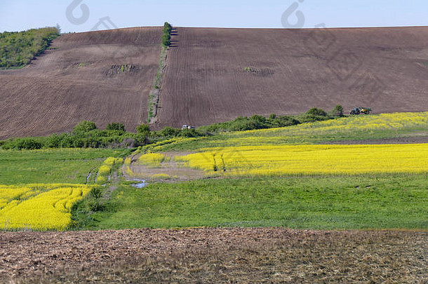 广阔的农田，有独立的田地和盛开的黄色油菜。可耕地。地平线上有一座小山和一片蓝天。
