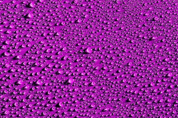 宏水滴纹理紫色的背景摘要模式空白设计