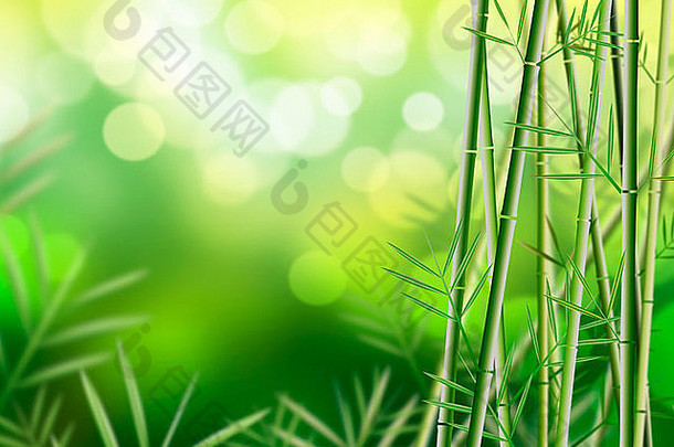 竹子背景插图