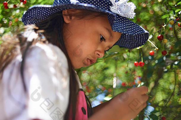 美丽的关闭可爱的亚洲女孩挑选新鲜的成熟的红色的樱桃树果园夏天阳光