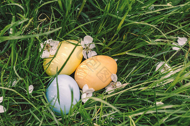 草地上彩绘的彩色复活节彩蛋