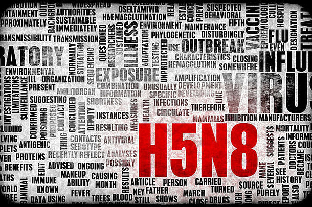 H5N8概念作为医学研究<strong>课题</strong>