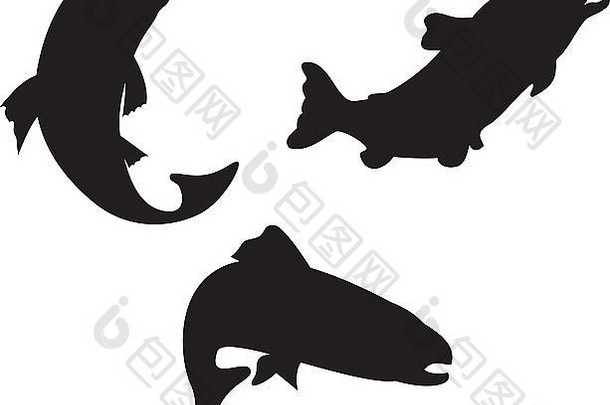 插图鳟鱼鱼游泳轮廓复古的风格