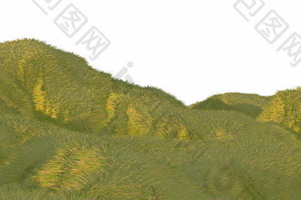 绿色草山基斯温暖的阳光白色背景空中前视图无人机飞机Copyspace文本插图渲染