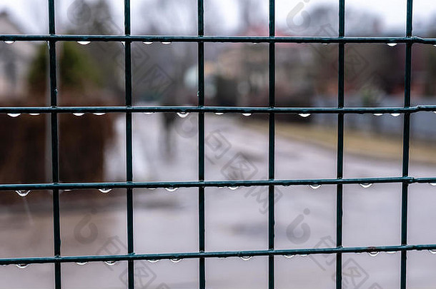 雨后用雨滴将栅栏与网格特写。