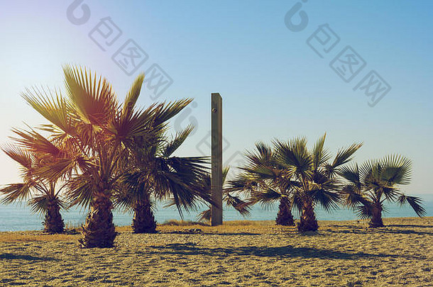 海滩上的棕榈树和淋浴