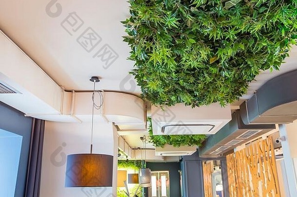 装饰咖啡馆咖啡商店室内风格绿色生态