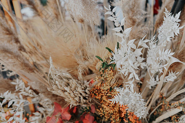 秋色背景：暖色调的野花