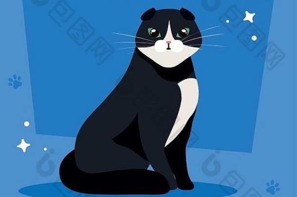 可爱的猫黑色和白色背景蓝色与爪印