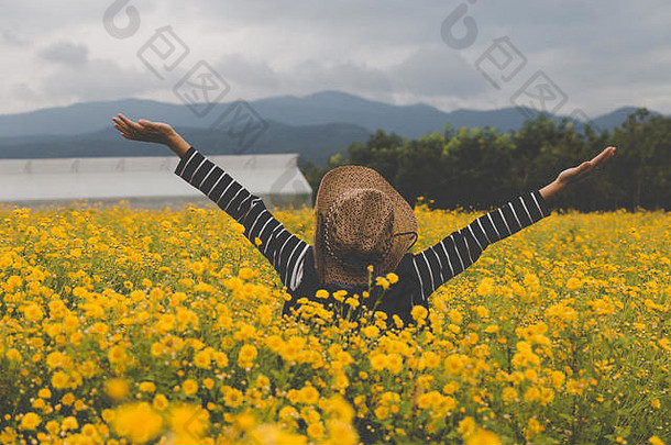 年轻女子在黄色的菊花地里举手，感到快乐和自由