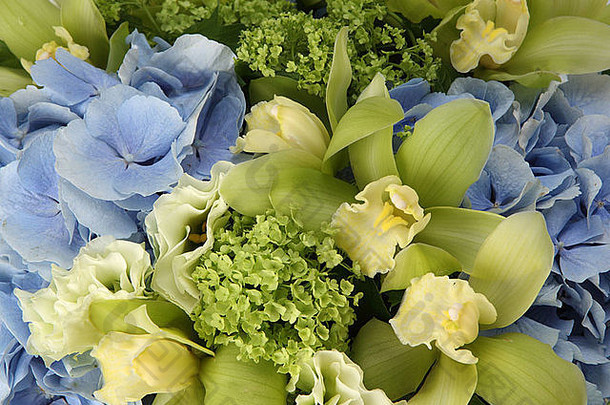 彩色花束的特写镜头。一种蓝色绣球花、小绿色绣球花和淡绿色大花蕙兰。