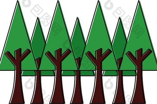 松树树叶生态环境植物