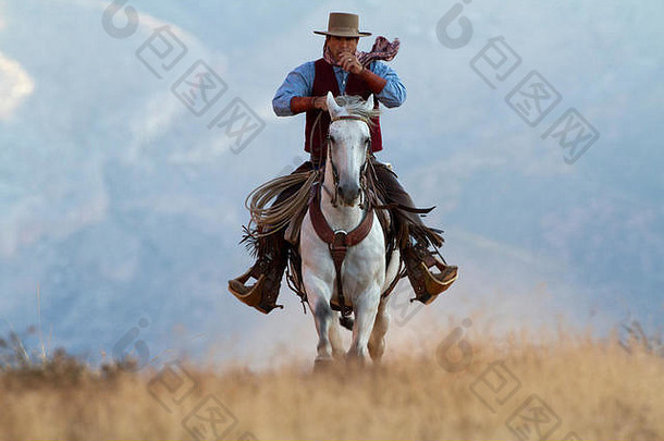 美国怀俄明壳牌藏身之处牧场牛仔骑马