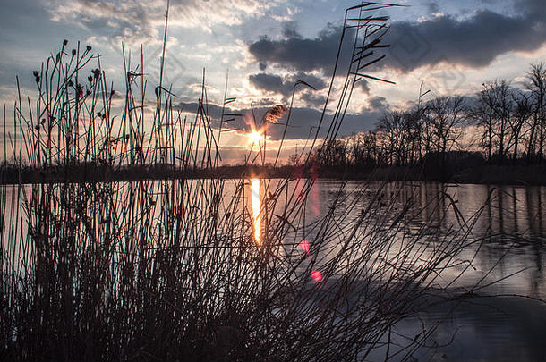 美丽的idylic场景日落湖云基斯设置太阳镜像水表面湖树成长钻井平台