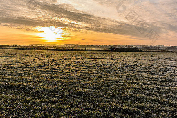 农村场景，描绘了开阔农田上的日出，前景是覆盖着厚厚一层霜冻的田地。