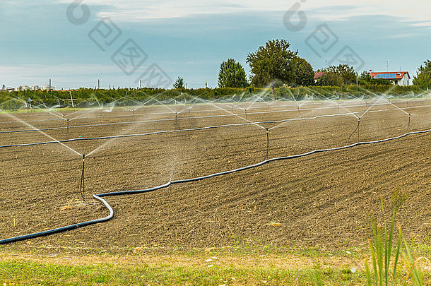 用洒水器灌溉耕作和播种的农田
