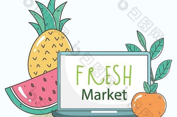 笔记本电脑和水果新鲜市场有机健康食品载体插图