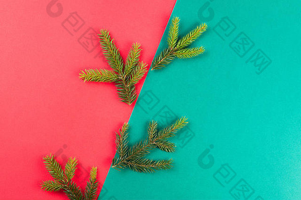 红绿背景上的冷杉树枝。圣诞作文