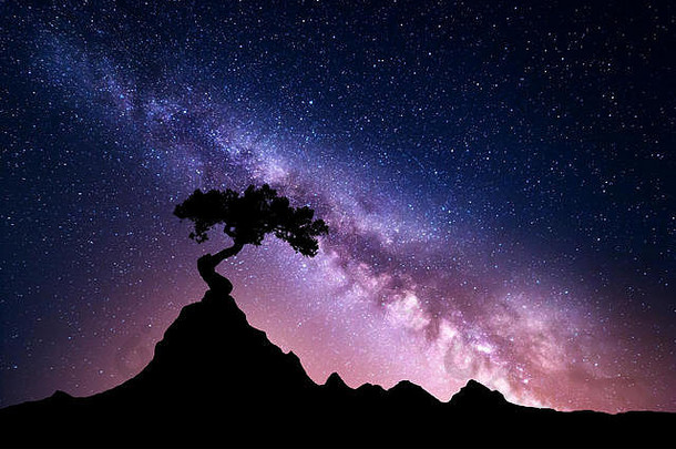 银河和山上的树。一棵老树从岩石中长出来，映衬着夜空中繁星点点的紫色银河。景观