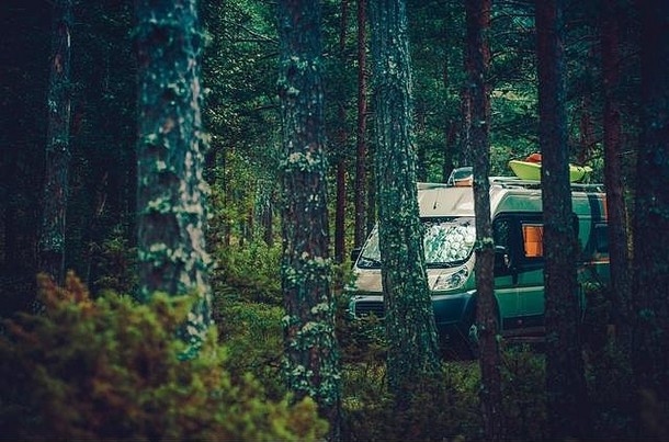 森林野营公共汽车类部森林露营者的野营