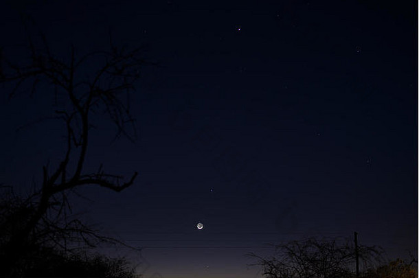 《暮光之城》天空南非洲冬天一半月亮行星行木星汞金星金合欢树轮廓