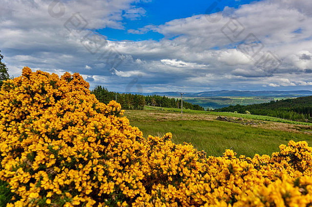 高地是苏格兰的一个历史悠久的地区