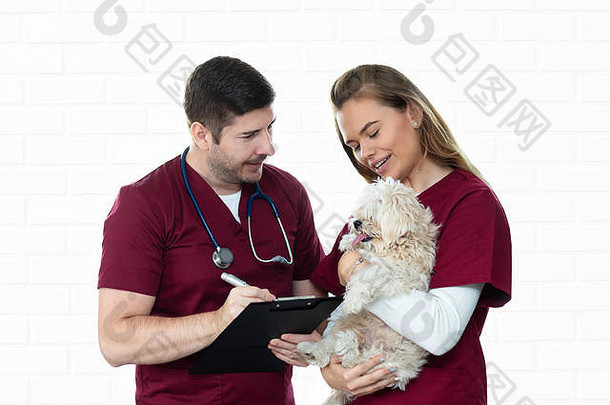 兽医检查时，小比熊犬安静地坐着——兽医微笑着咨询兽医诊所内的宠物患者——护士拥抱小狗