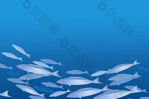 插图Shoal蓝色的热带鱼水下