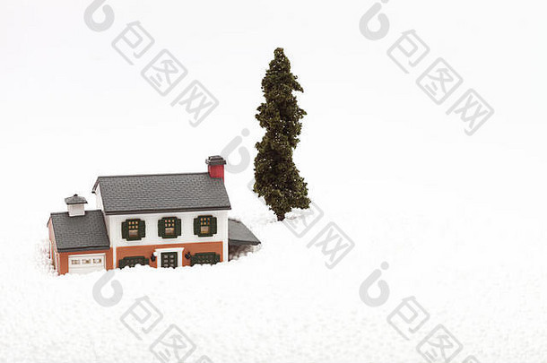 阿莫特塑料房子树人工雪