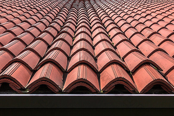 棕色瓷砖屋顶的前视图。