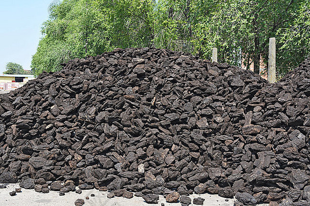 价值高、质量好的煤炭库存等待第一批客户。
