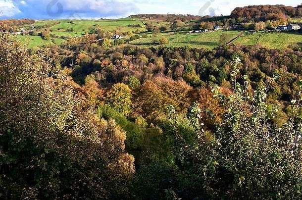 卡尔德代尔雷伯恩山谷里的里彭登的秋树。