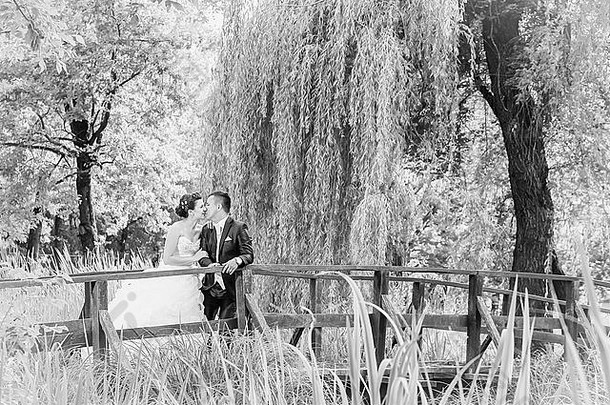 新娘和新郎在一座木桥上摆姿势，倚在篱笆上接吻。