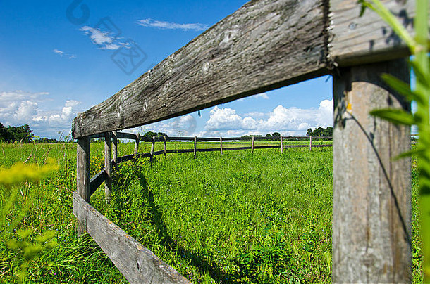 木栅栏绿色夏天牧场草地