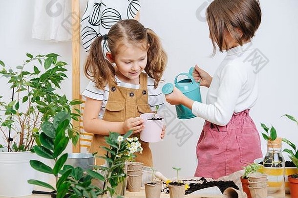 两个好奇的小女孩用小罐子在杯子里给<strong>幼苗</strong>浇水