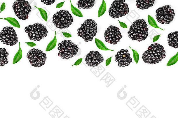 新鲜的黑莓孤立的白色背景复制空间文本前视图平躺模式
