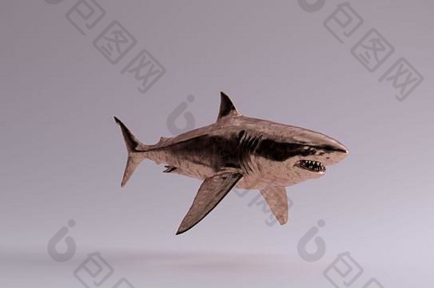 青铜大白鲨3d插图3d渲染