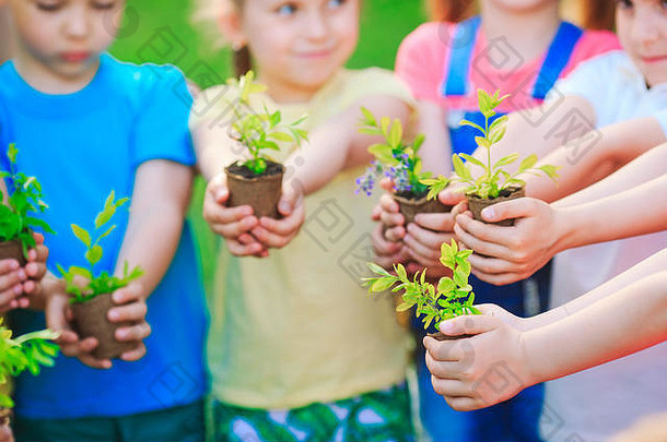 人们在培育环境中亲手拔罐植物。