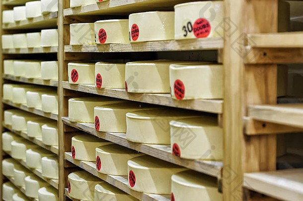 轮子年轻的奶酪木货架上成熟地窖坦率伯爵奶油厂法国