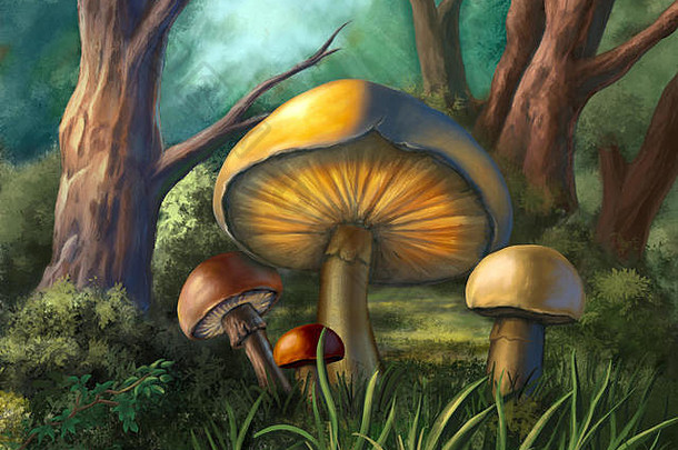 一些五颜六色的蘑菇在一个小树林里。数字插图。