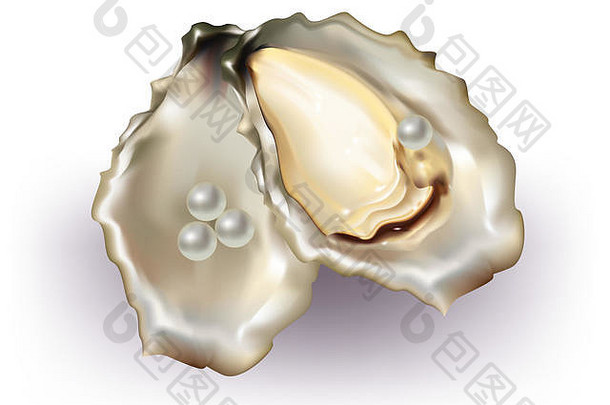 白底牡蛎壳珍珠