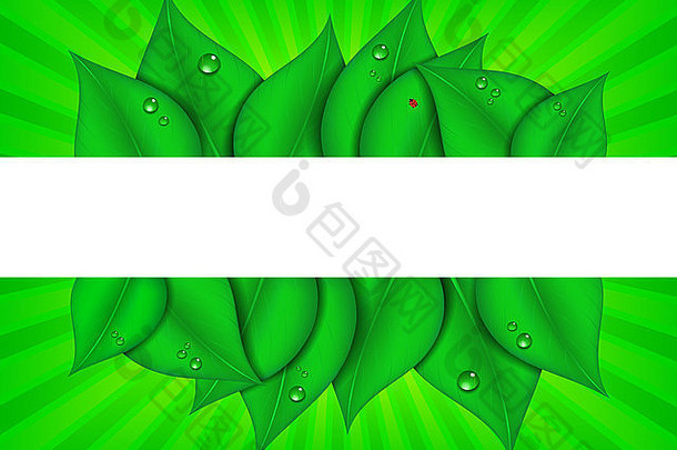 绿叶绿光图案-页面设计