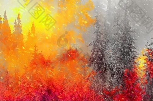 燃烧云杉林和绘画效果。生态学概念。