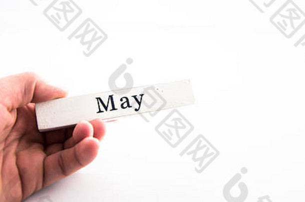 五月-白色背景上的手持日历月块