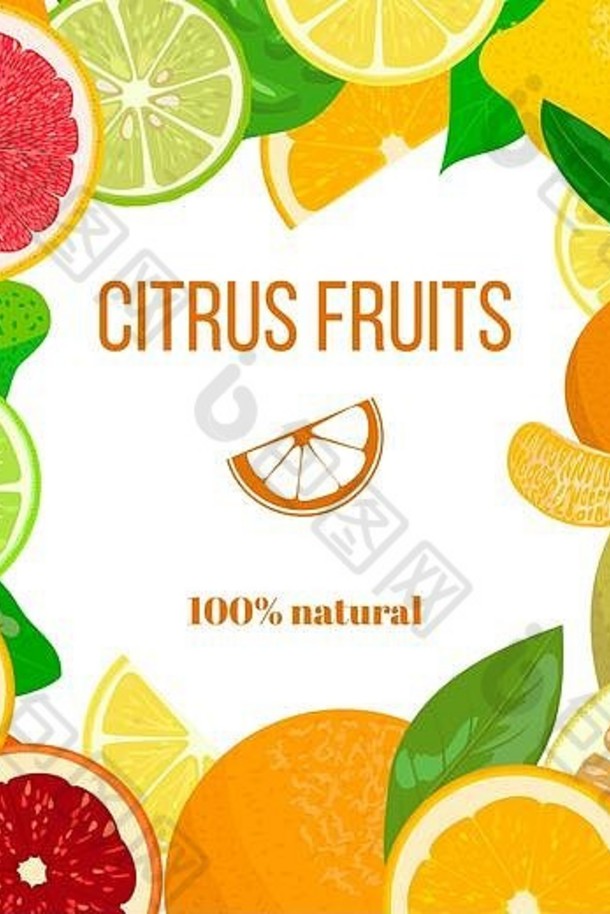 新鲜柑橘类水果装饰，用于明信片、问候、心愿卡。您的文本以佛手柑、柠檬、葡萄柚、酸橙、柑橘、柚子、血橙为框架