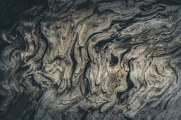 神秘的格伦色调灰色木质背景，带有古老风化木材的柔和焦点。