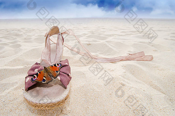 法国大西洋野生海滩上一只穿着女鞋的睡莲蝴蝶